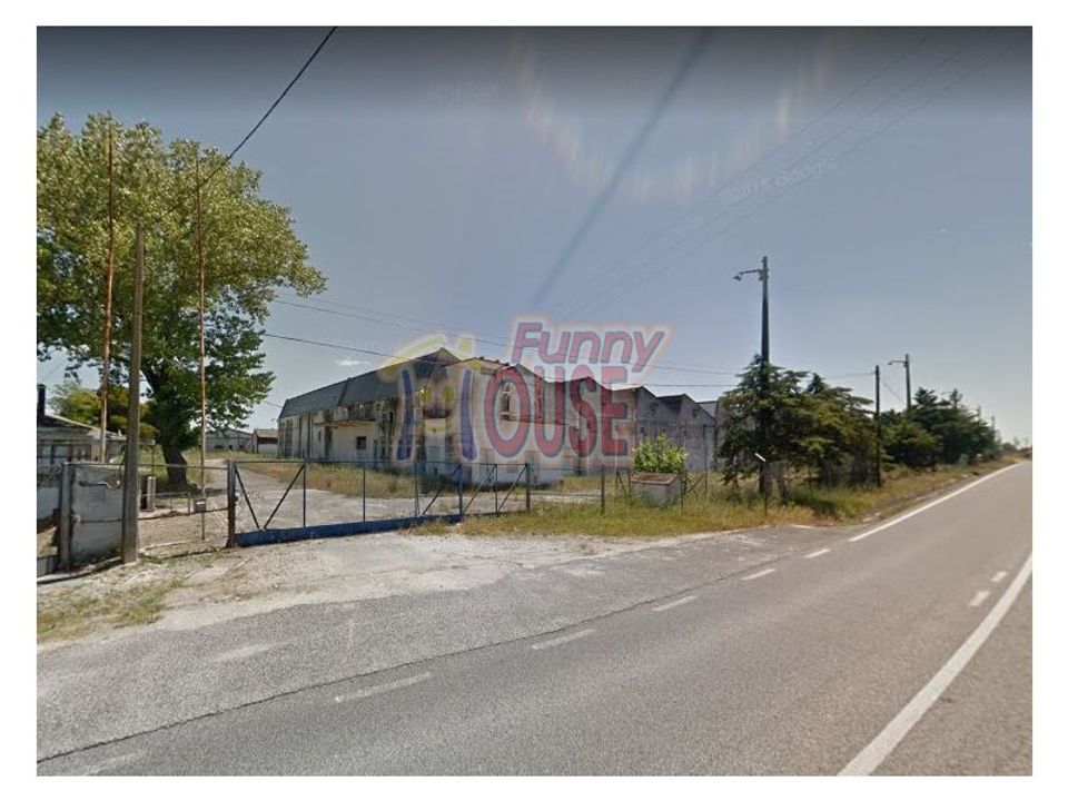 Erhvervsejendom i Vale da Pedra, Santarem - foto 3