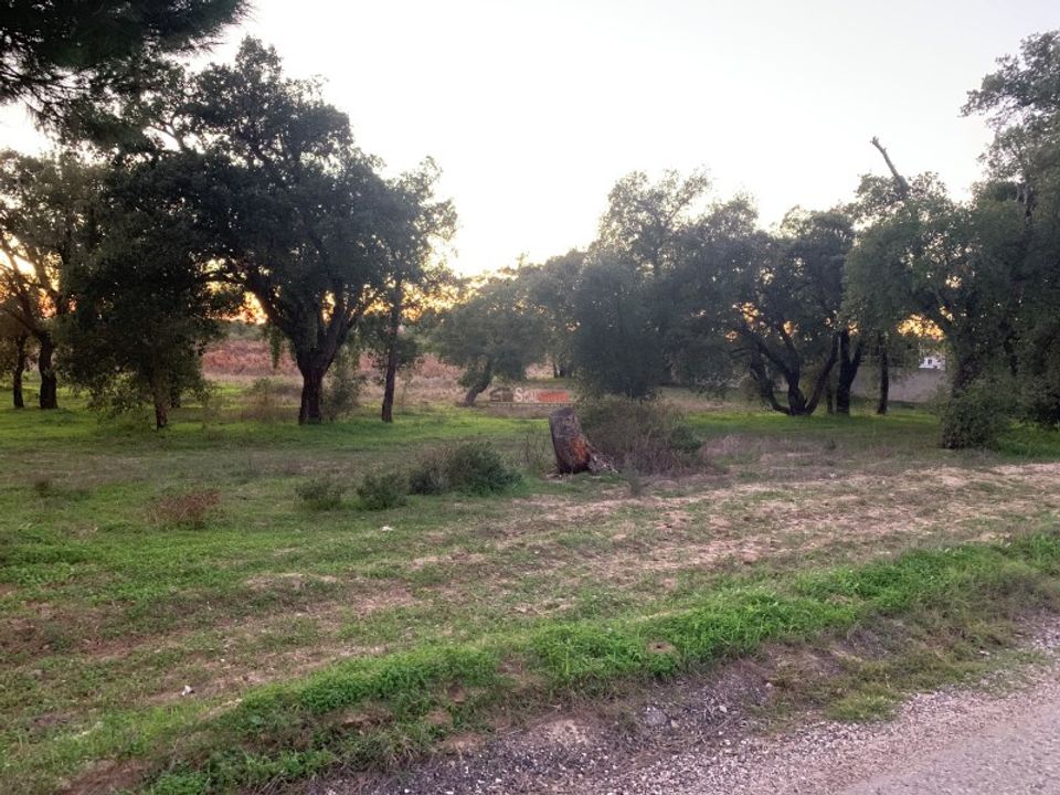 Helårsgrund i Montijo, Setubal - foto 1