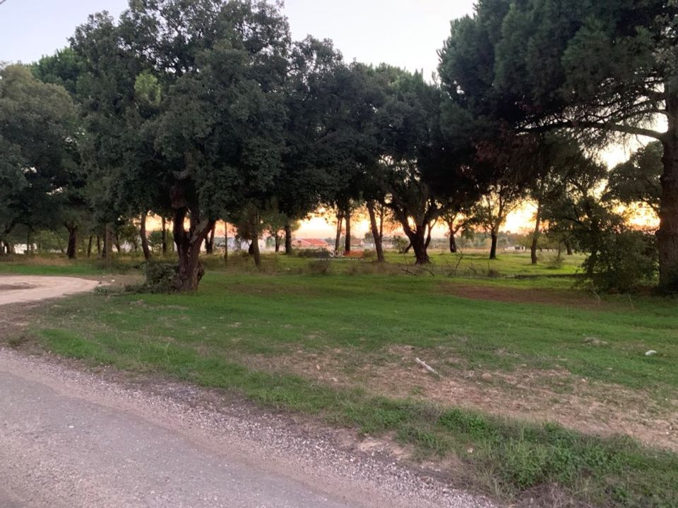 Helårsgrund i Montijo, Setubal - foto 2