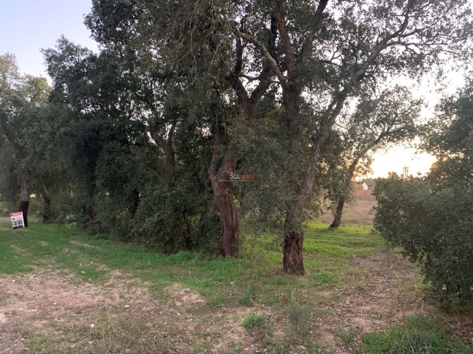 Helårsgrund i Montijo, Setubal - foto 3