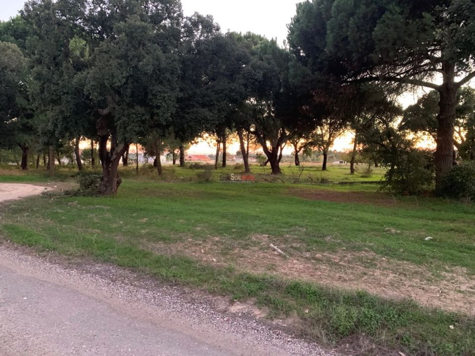 Helårsgrund i Montijo, Setubal - foto 4