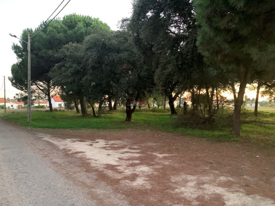 Helårsgrund i Montijo, Setubal - foto 5