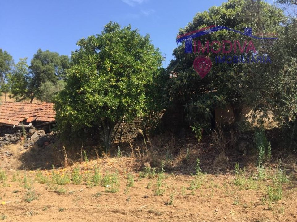 Villa i Serta, Castelo Branco - foto 5