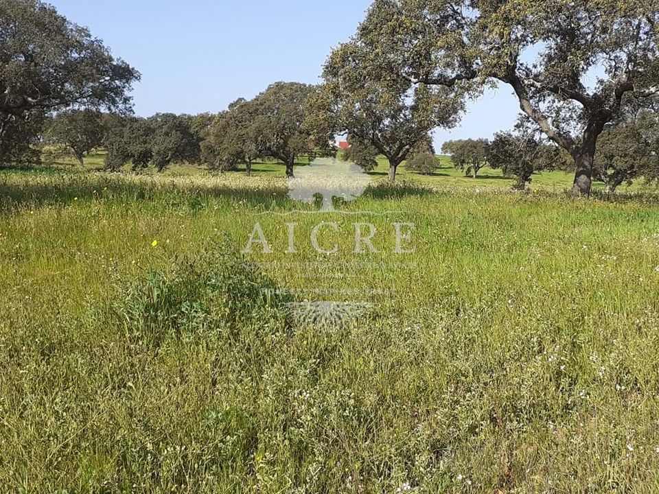 Helårsgrund i Ferreira do Alentejo, Beja - foto 1