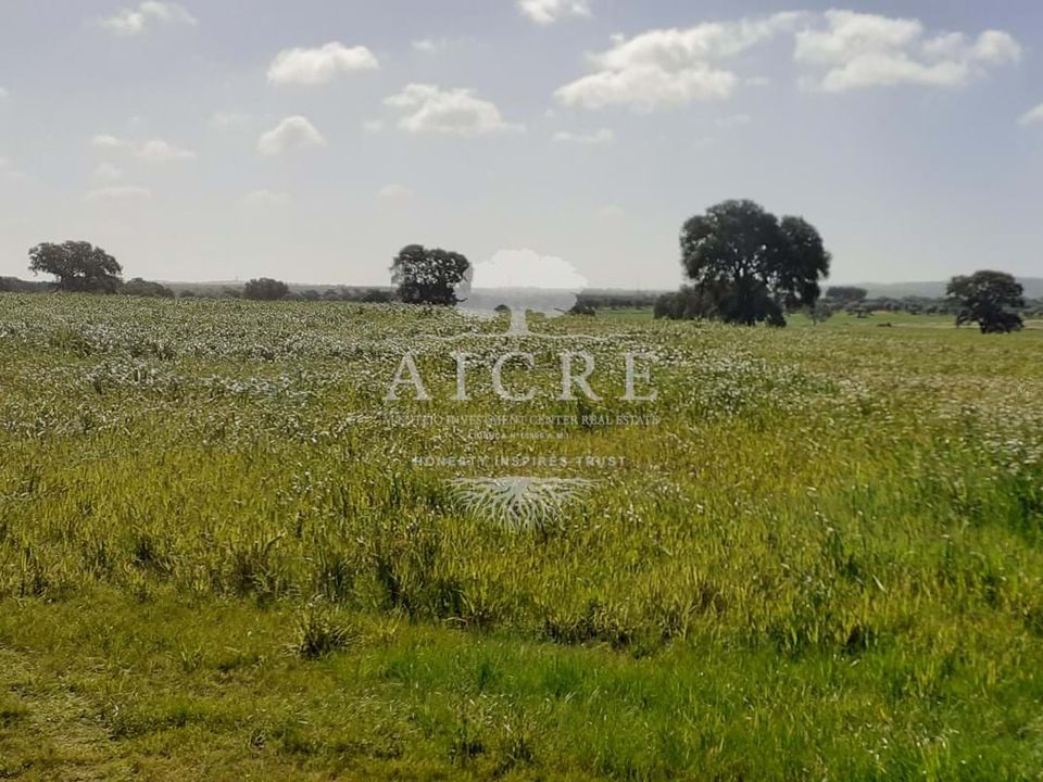 Helårsgrund i Ferreira do Alentejo, Beja - foto 4