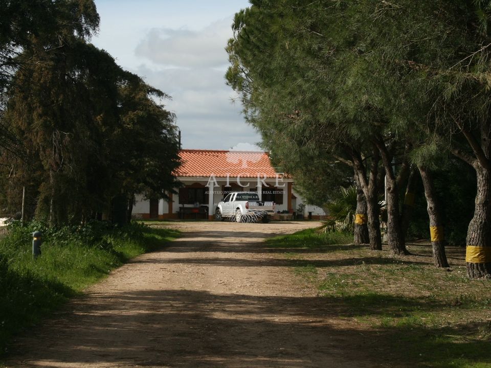 Farm i Aljustrel, Beja - foto 2