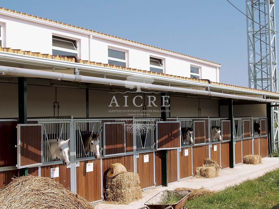 Farm i Aljustrel, Beja - foto 1