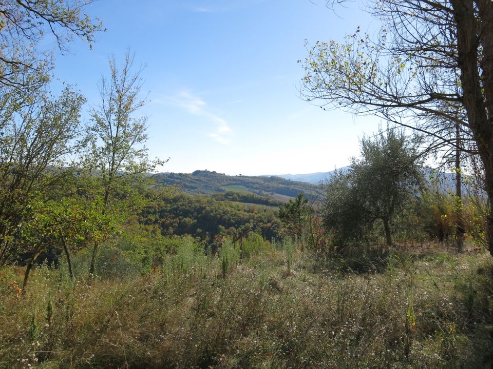 Landejendom i Umbertide, Perugia - foto 4