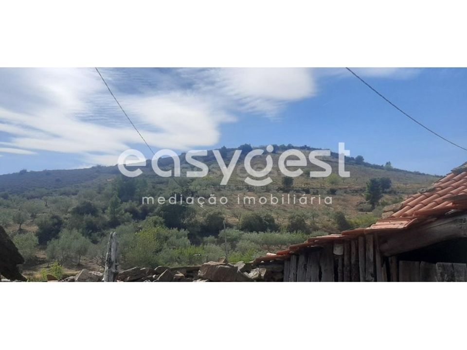 Villa i Carvicais, Braganca - foto 4