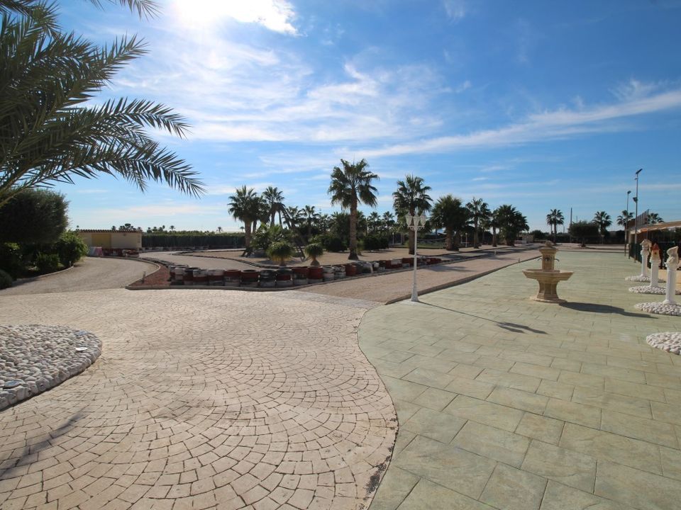 Finca i Elche, Alicante - foto 3