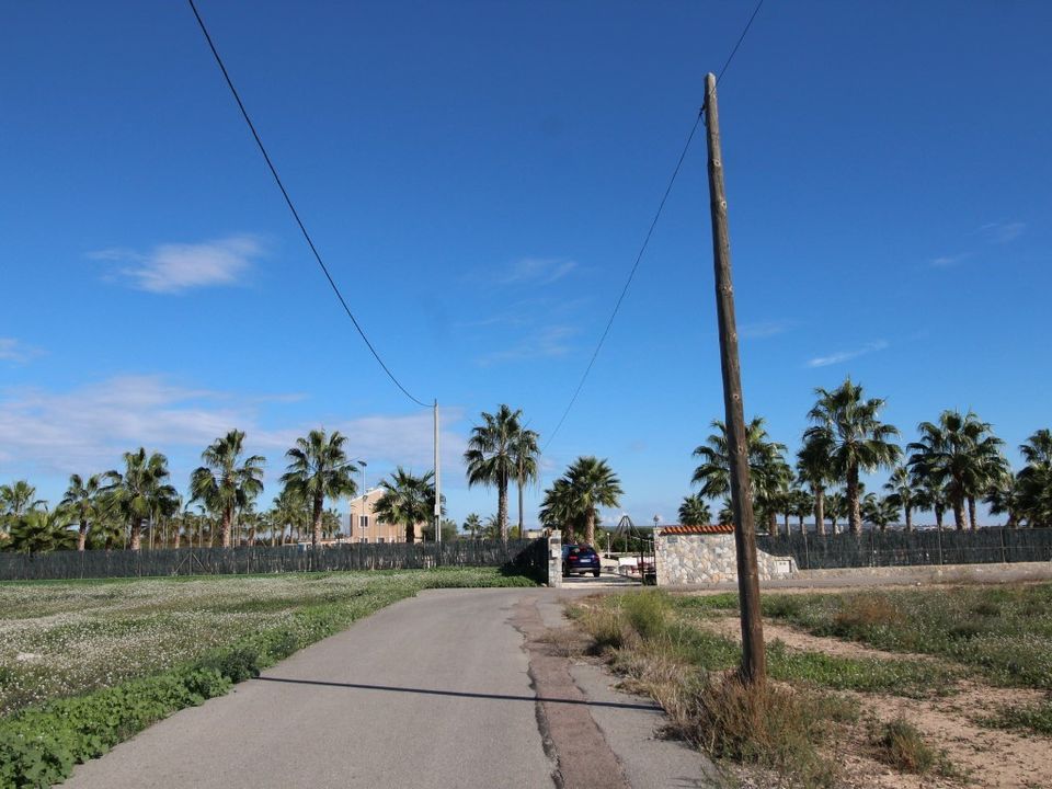 Finca i Elche, Alicante - foto 1