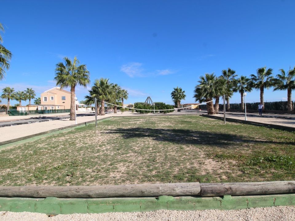 Finca i Elche, Alicante - foto 4