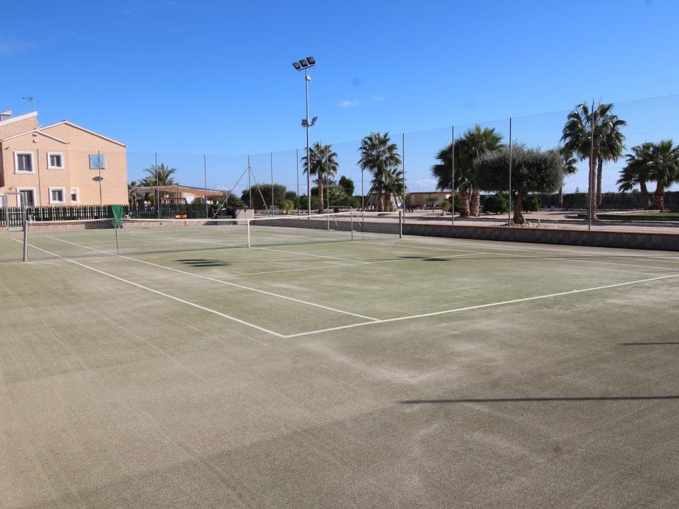 Finca i Elche, Alicante - foto 5