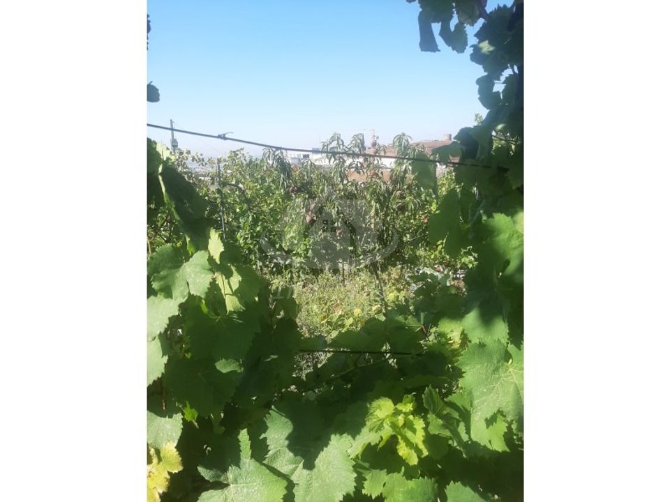 Helårsgrund i Santo Antao do Tojal, Lisbon - foto 5