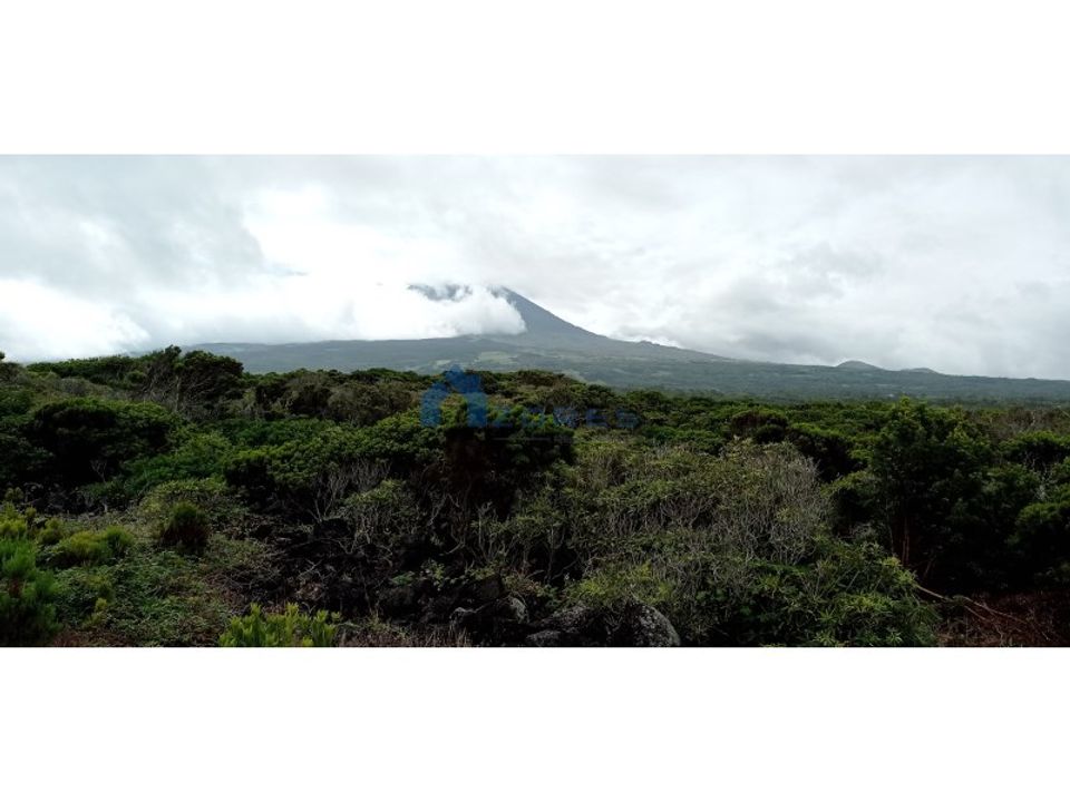 Helårsgrund i Bandeiras, Pico - foto 1