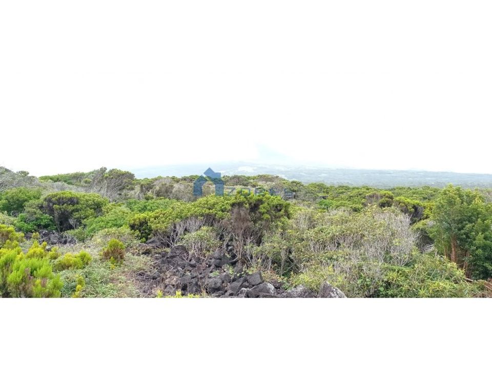 Helårsgrund i Bandeiras, Pico - foto 2