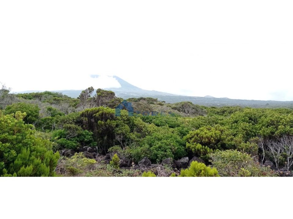 Helårsgrund i Bandeiras, Pico - foto 3
