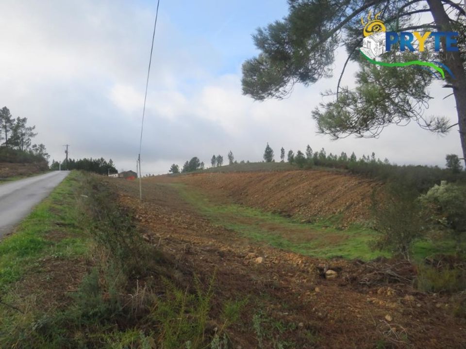 Ruinere i Serta, Castelo Branco - foto 2