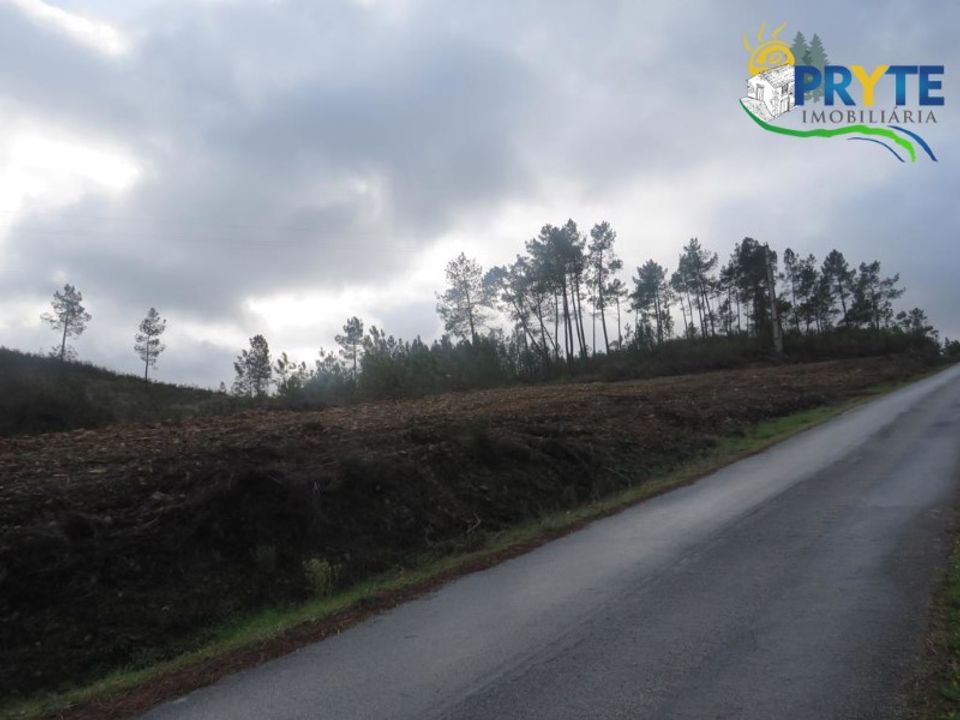 Ruinere i Serta, Castelo Branco - foto 3