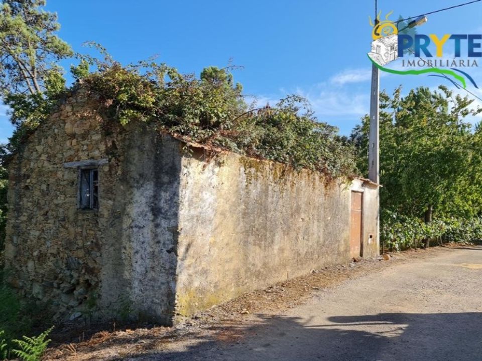 Ruinere i Castelo Branco, Castelo Branco - foto 1