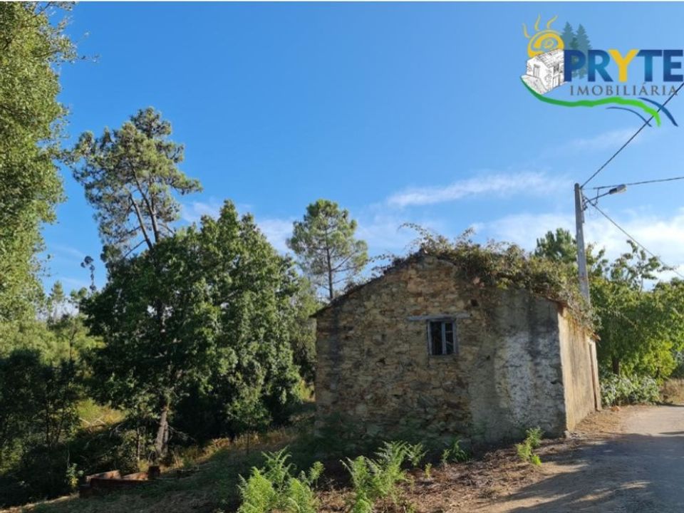 Ruinere i Castelo Branco, Castelo Branco - foto 4