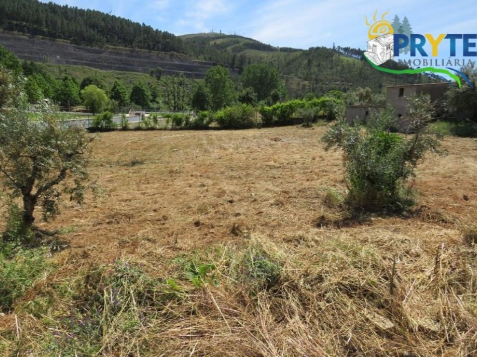 Farm i Varzea dos Cavaleiros, Castelo Branco - foto 5