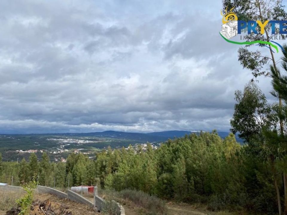 Helårsgrund i Serta, Castelo Branco - foto 4