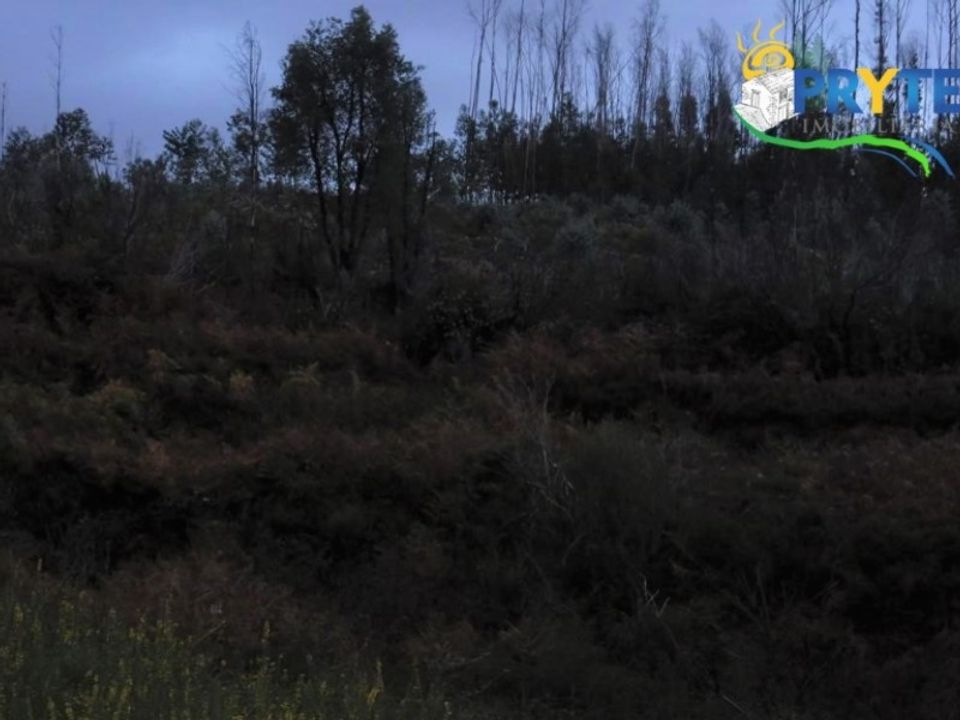 Helårsgrund i Serta, Castelo Branco - foto 4