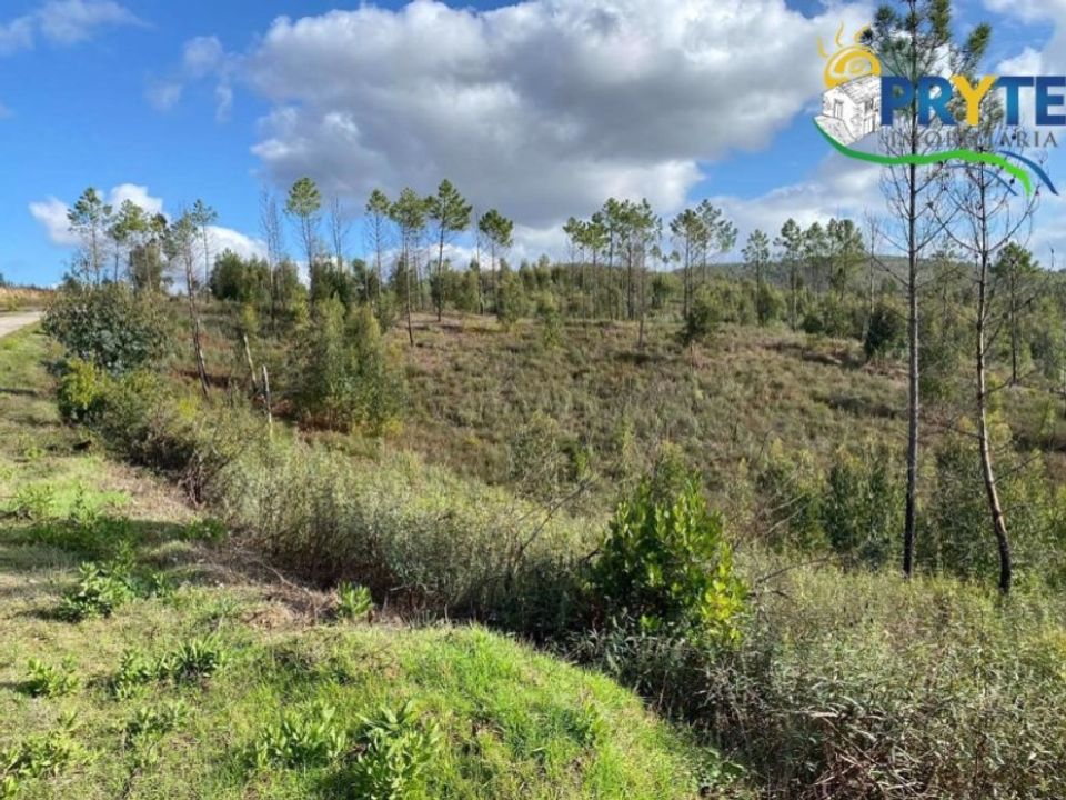 Helårsgrund i Serta, Castelo Branco - foto 2