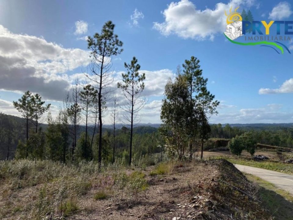 Helårsgrund i Serta, Castelo Branco - foto 3