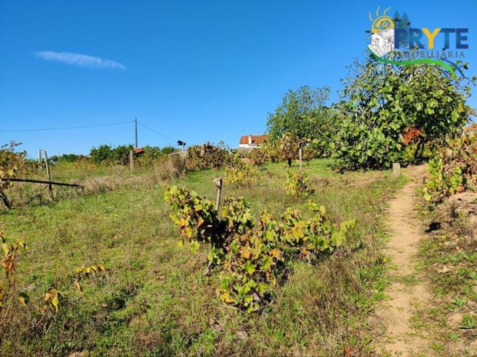 Ruina en Gaviao, Portalegre - foto 5