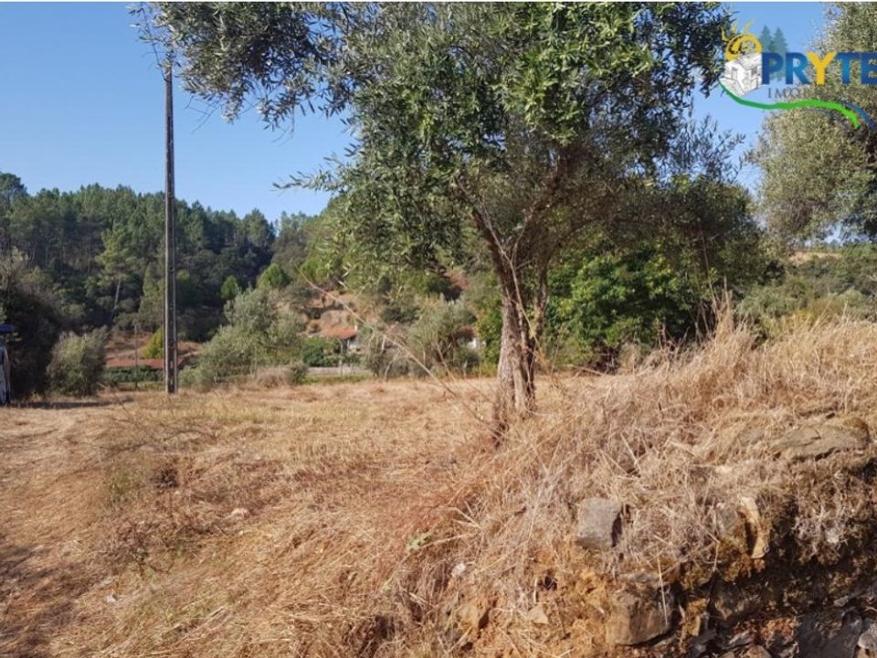 Helårsgrund i Serta, Castelo Branco - foto 2