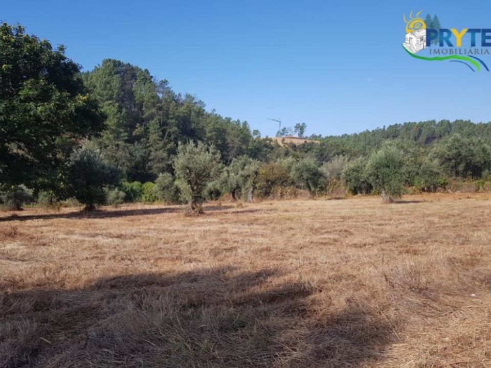 Helårsgrund i Serta, Castelo Branco - foto 4
