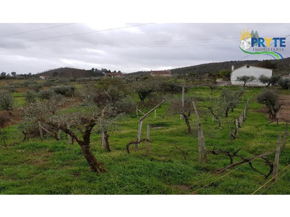 Villa i Serta, Castelo Branco - foto 3