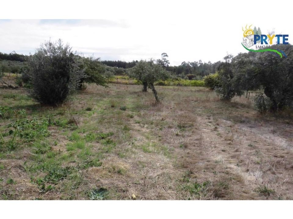 Helårsgrund i Cabecudo, Castelo Branco - foto 2