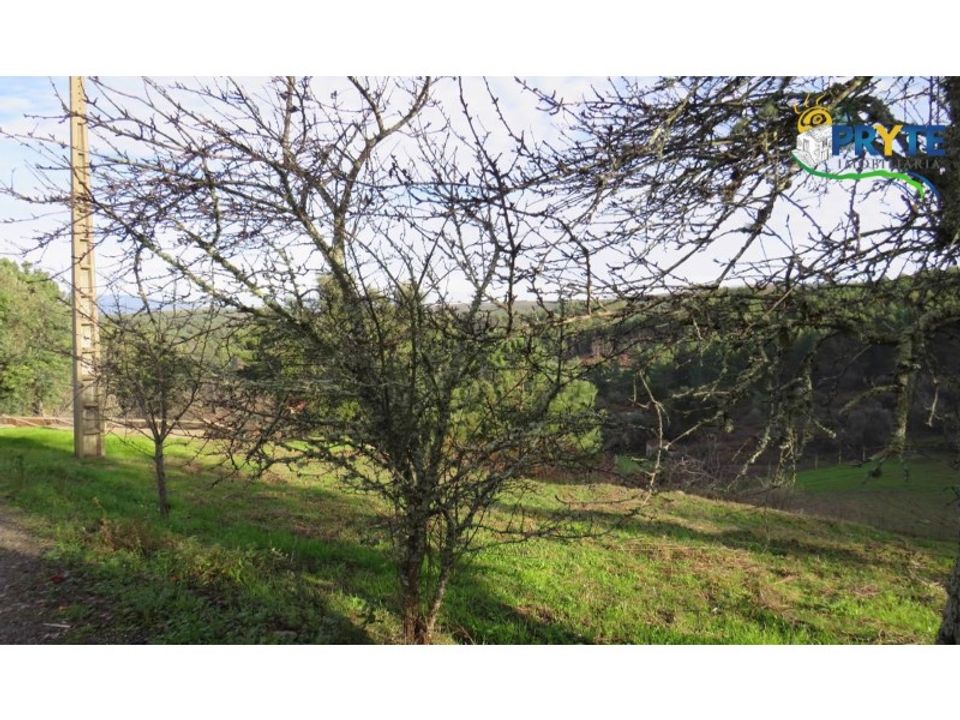 Ruinere i Carvalhal, Castelo Branco - foto 3