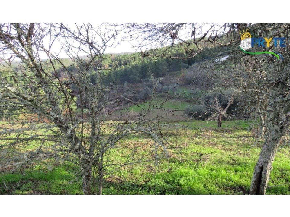 Ruinere i Carvalhal, Castelo Branco - foto 4