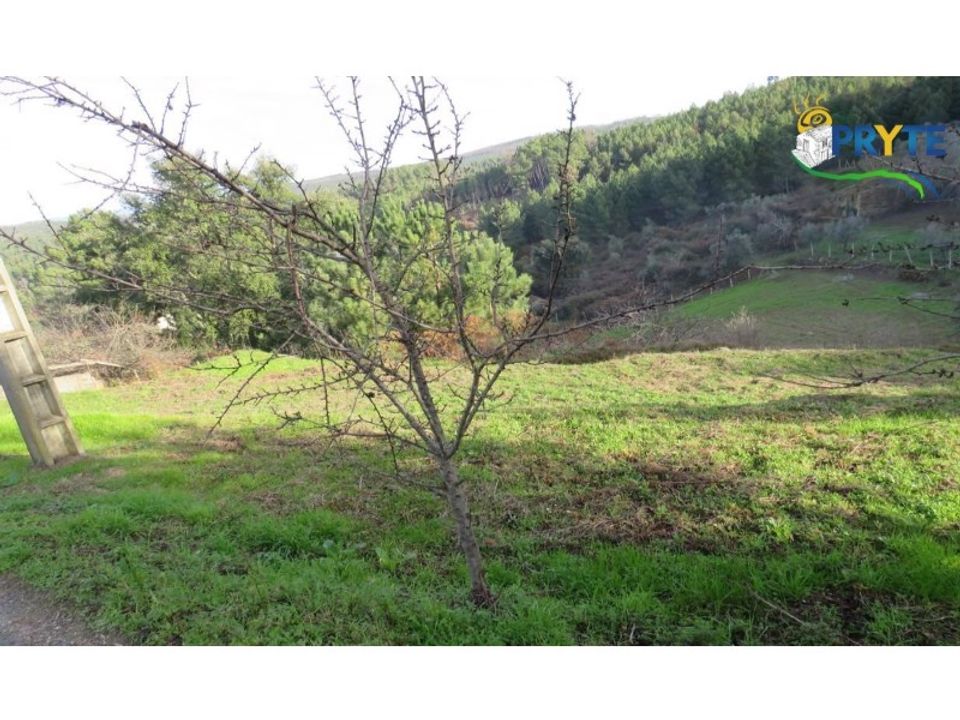 Ruinere i Carvalhal, Castelo Branco - foto 5
