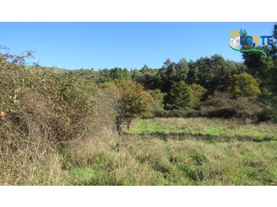 Helårsgrund i Castanheira de Pera, Leiria - foto 2