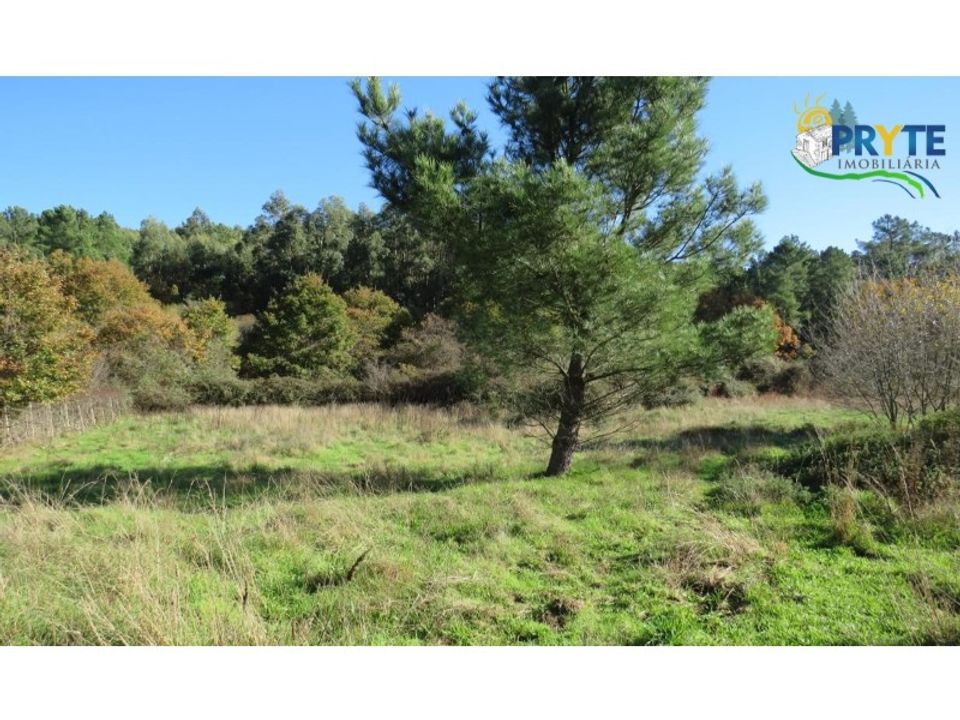 Helårsgrund i Castanheira de Pera, Leiria - foto 3