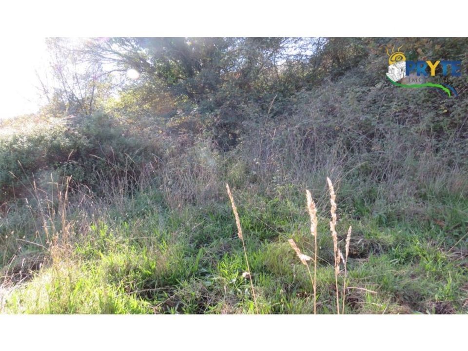 Helårsgrund i Castanheira de Pera, Leiria - foto 5