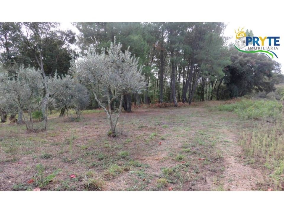 Helårsgrund i Cabecudo, Castelo Branco - foto 2