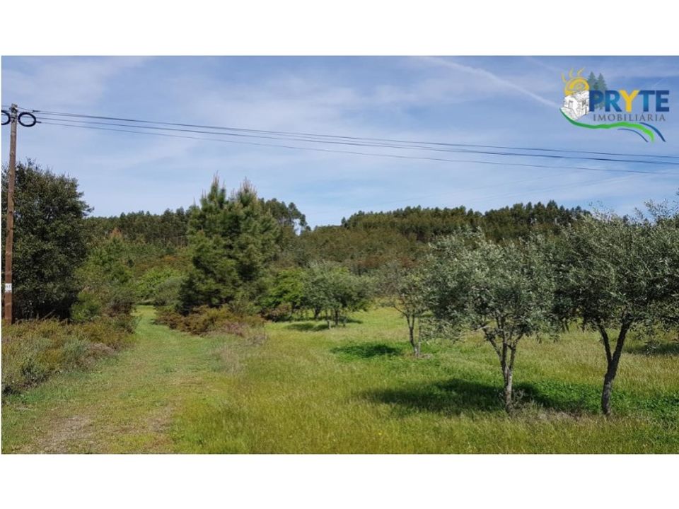 Helårsgrund i Serta, Castelo Branco - foto 1