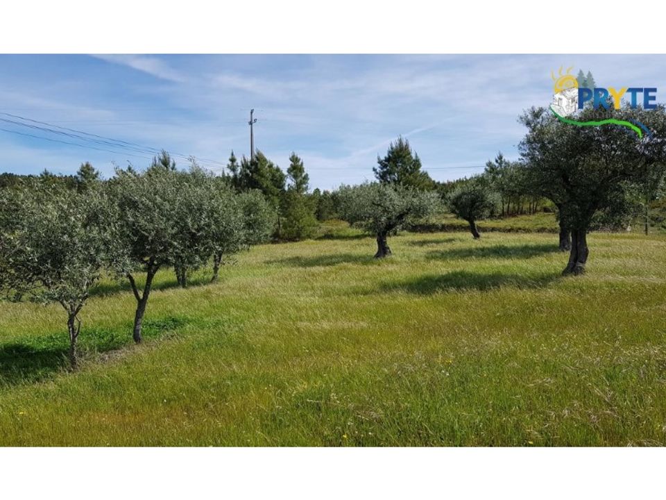 Helårsgrund i Serta, Castelo Branco - foto 2