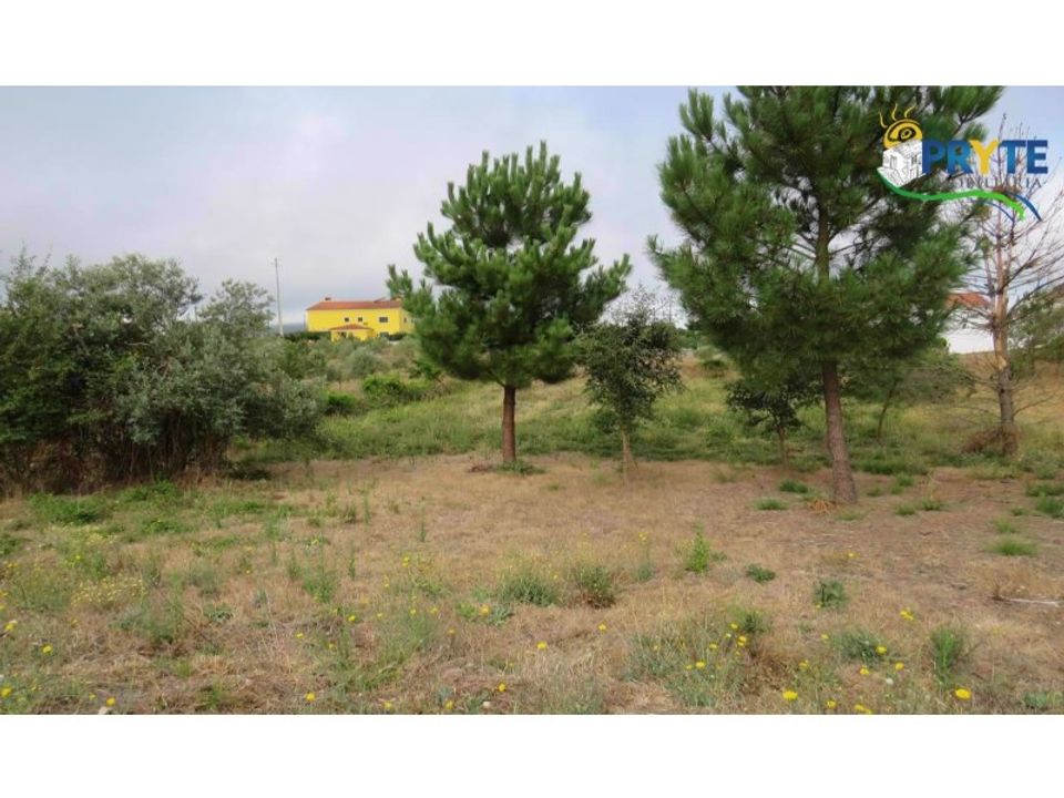 Tomt i Vila de Rei, Castelo Branco - bilde 1