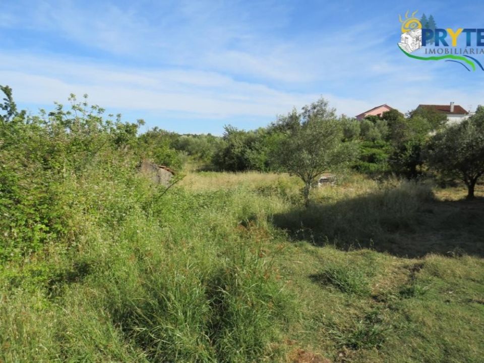 Helårsgrund i Ferreira do Zezere, Santarem - foto 3