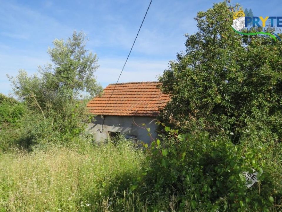 Helårsgrund i Ferreira do Zezere, Santarem - foto 4