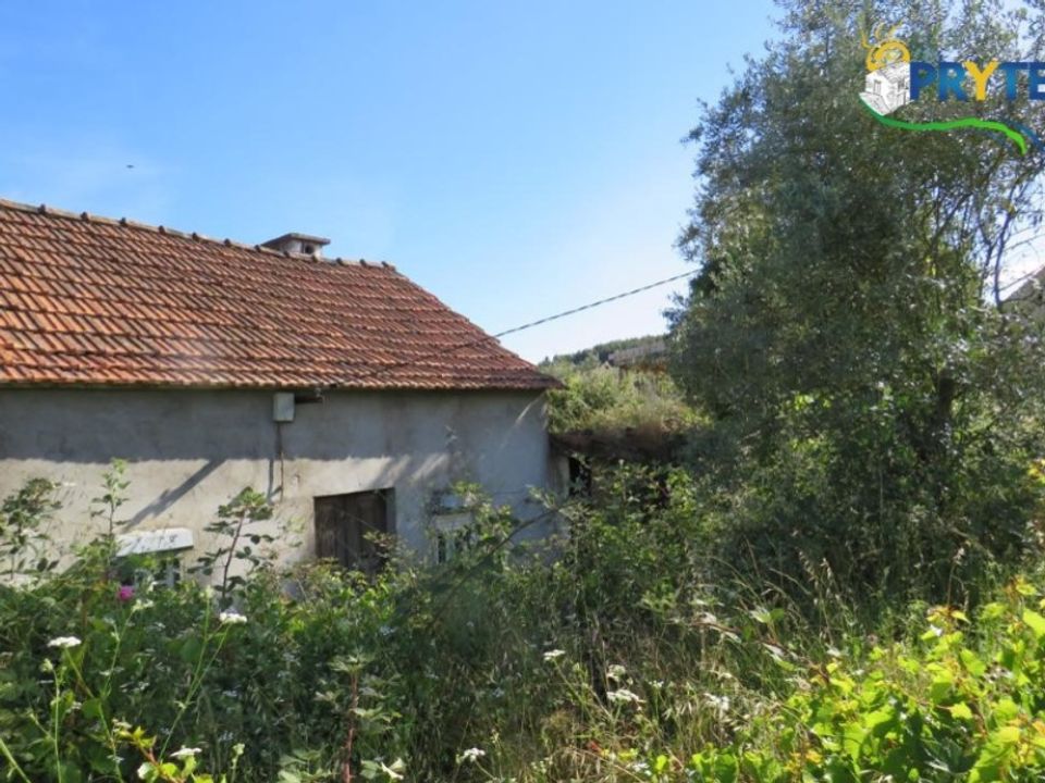 Helårsgrund i Ferreira do Zezere, Santarem - foto 5