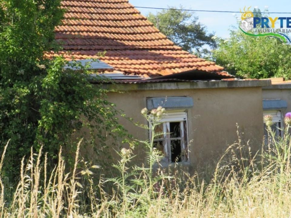 Helårsgrund i Ferreira do Zezere, Santarem - foto 1