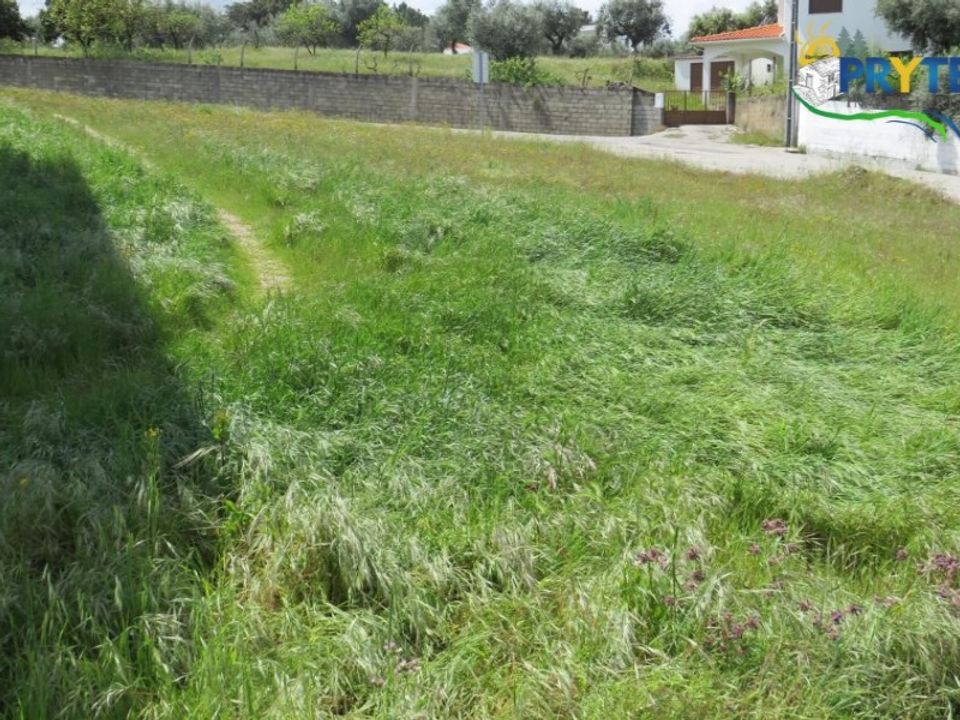 Helårsgrund i Serta, Castelo Branco - foto 2